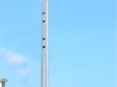 DG-A601 LED树状太阳能路灯、全套太阳能路灯、6米太阳能路灯报价