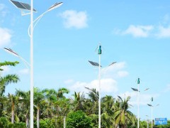 DG-A902 LED太阳能路灯6米、太阳能小区路灯、40瓦太阳能路灯