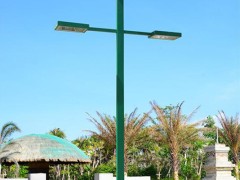 DG-A2803 LED景观灯
