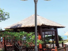DG-A3604 LED景观灯