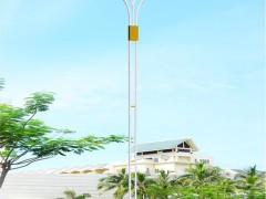 DG-A2102 LED新农村太阳能路灯、太阳能led路灯厂家、西北太阳能路灯